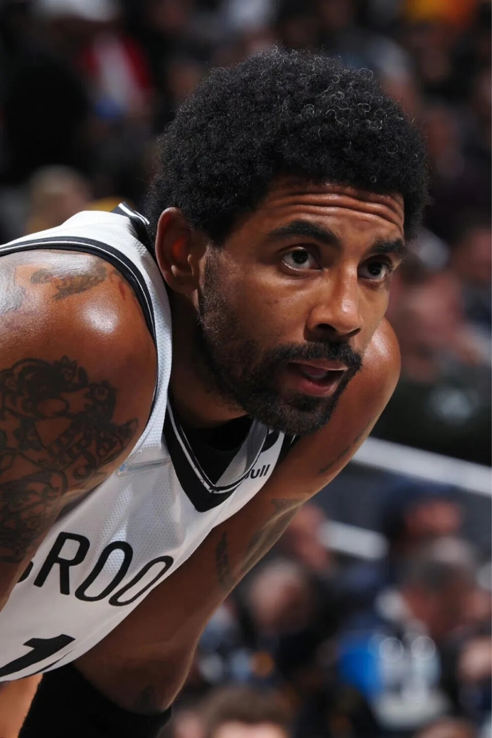 把自身的护 把自身的护